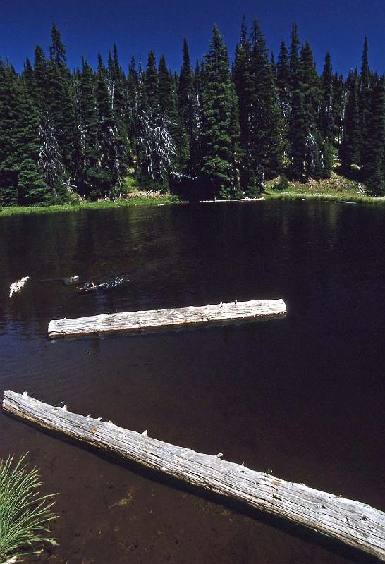 1994-08 Taneum Ridge with Mark and Liz 05.jpg